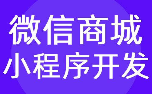 商城小程序開發 微信小程序商城定制開發 紅匣子科技